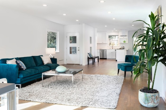 Rug room size living area placement rugs choose pick get space carpet right board perfect